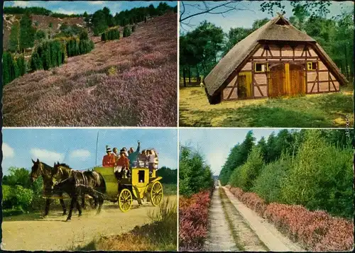 _Niedersachsen  Lüneburger Heide: Schafstall, Postkutsche Wacholder 1961