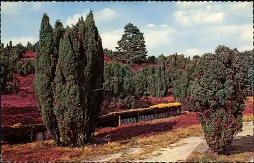 Ansichtskarte Celle Blick in die Landschaft und Unterstände 