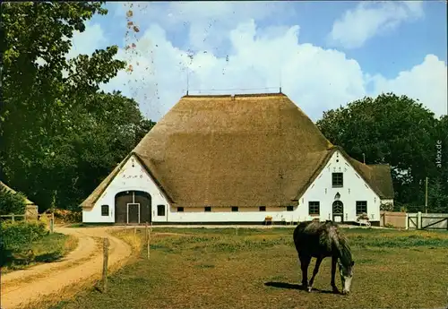 Ansichtskarte Eiderstedt Haubarg 1979