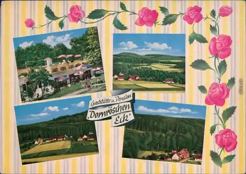 Ansichtskarte Rinteln OT Friedrichswald: Waldgasthaus "Dörnröschen-Eck" 1966