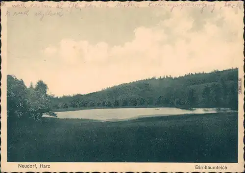 Ansichtskarte Neudorf (Harz) Birnbaumteich 1932 