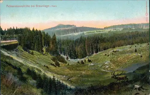 Ansichtskarte Braunlage Achtermannshöhe 1910