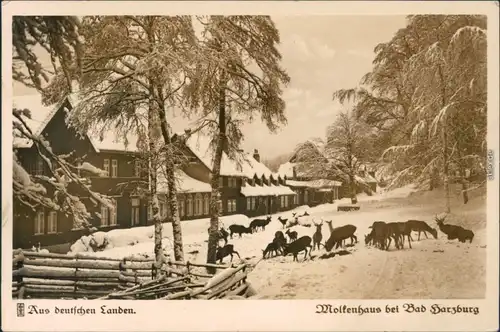 Ansichtskarte Bad Harzburg Molkenhaus 1942