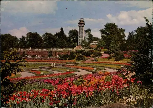 Ansichtskarte Essen (Ruhr) Grugapark mit Aussichtsturm 1961