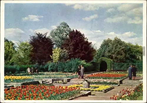 Ansichtskarte Essen (Ruhr) Sondergarten im Botanischen Garten 1959