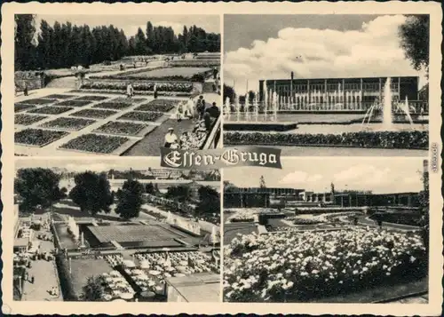 Ansichtskarte Essen (Ruhr) Grugapark mit Springbrunnen und Blumenbeeten 1961