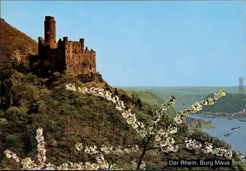 Ansichtskarte Wellmich-St. Goarshausen Burg Maus 1979