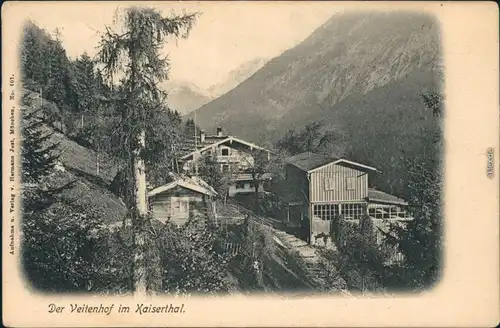 Ansichtskarte Ebbs Der Veitenhof im Kaiserthal 1903 