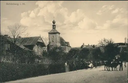 Ansichtskarte Schönberg (Holstein) Straßenpartie 1914 