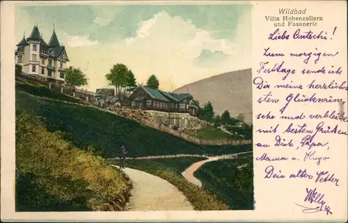 Ansichtskarte Bad Wildbad Villa Hohenzollern und Fasanerie 1905 