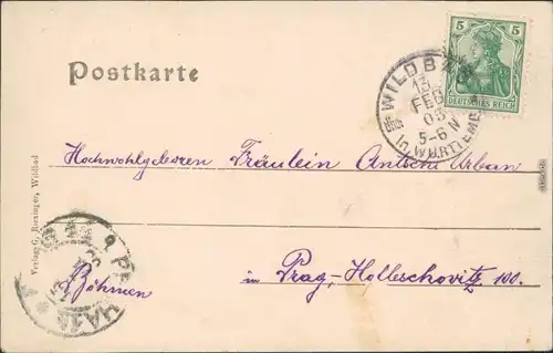 Ansichtskarte Bad Wildbad Villa Hohenzollern und Fasanerie 1905 