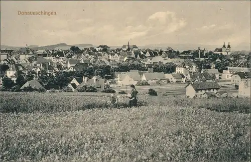 Ansichtskarte Donaueschingen Partie an der Stadt, Felder 1914 