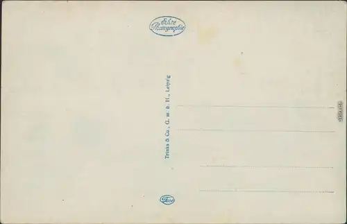 Ansichtskarte Krefeld Crefeld Partie im Stadtpark 1928 