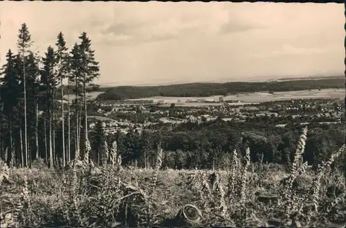 Ansichtskarte Ilsenburg (Harz) Teilansicht 1958