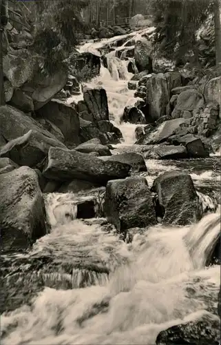 Ansichtskarte Wernigerode Steinerne Renne 1958