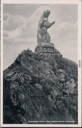 Ansichtskarte Rübeland Bärendenkmal 1956