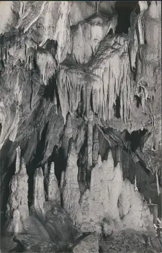 Ansichtskarte Rübeland Baumannshöhle - Palmengrotte 1958