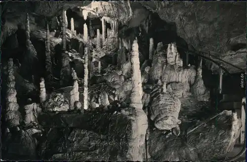 Ansichtskarte Rübeland Baumannshöhle - Säulenhalle 1958