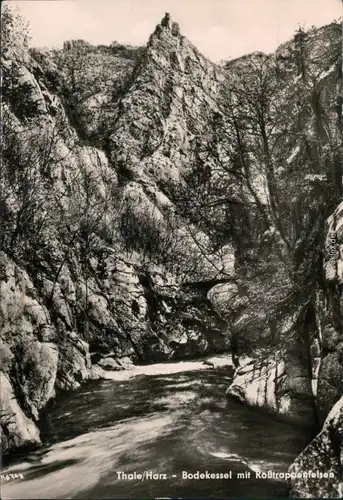 Ansichtskarte Thale (Harz) Bodekessel mit Roßtrappfelsen 1959