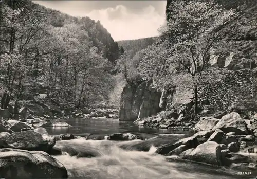 Ansichtskarte Treseburg Bodetal Harz 1959