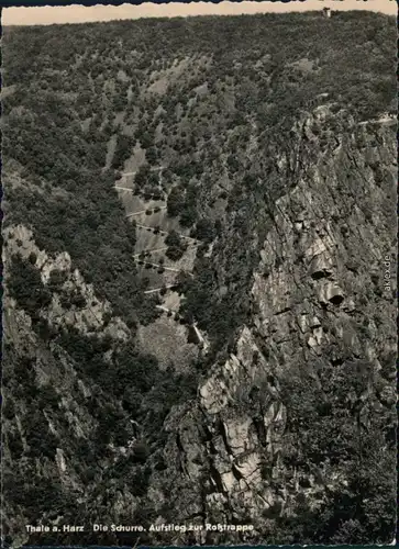 Ansichtskarte Thale (Harz) Die Schurre - Aufstieg zur Roßtrappe 1958