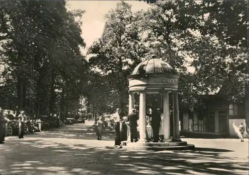 Ansichtskarte Bad Suderode Kurpark mit Calciumquelle 1964