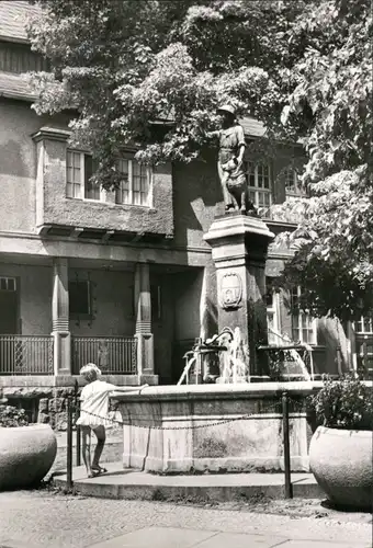 Ansichtskarte Quedlinburg Schäferbrunnen 1976