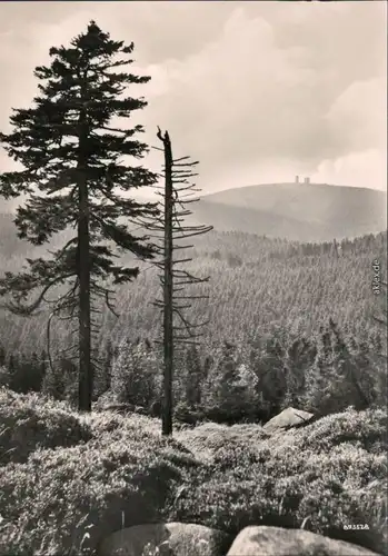 Ansichtskarte Ilsenburg (Harz) Der Brocken (Harz) 1959