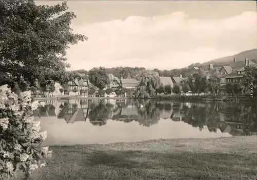 Ansichtskarte Ilsenburg (Harz) Am Forellenteich 1968