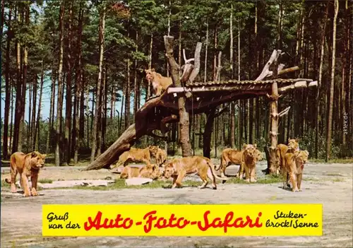 Schloß Holte-Stukenbrock Hollywood- und Safaripark Stukenbrock 1990