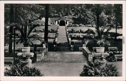 Ansichtskarte Bad Suderode Kurterrasse 1951