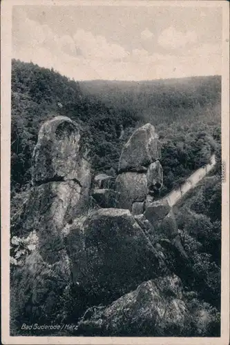 Ansichtskarte Bad Suderode Harz: Wald, Weg, Felsenformation 1960