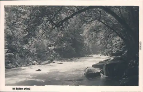 Ansichtskarte Treseburg Im Bodetal Harz 1955