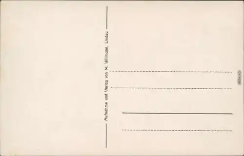 Ansichtskarte Lindau (Bodensee) Lindauer Hof, Zollamt, Finanzamt 1960