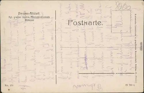 Ansichtskarte Dresden Großer Garten Rhododendronhain - Blütezeit 1912 