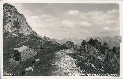 Ansichtskarte Kranebitten Mördlingerhütte - Reitherspitze - Schafe 1932 