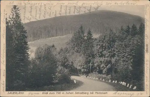 Ansichtskarte Medebach Straße - Blick zum Schloßberg 1927 