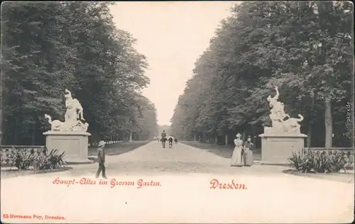 Ansichtskarte Dresden Großer Garten mit Haupt-Allee 1930