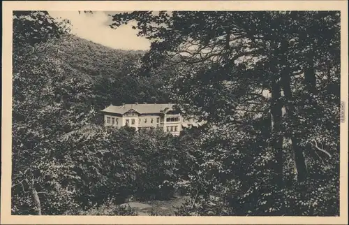 Stecklenberg (Harz)-Quedlinburg Blick auf das Haus Hagental 1928 