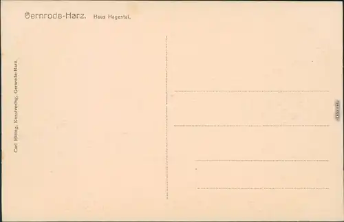 Stecklenberg (Harz)-Quedlinburg Blick auf das Haus Hagental 1928 