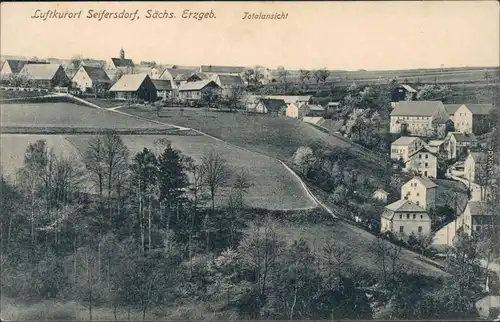 Ansichtskarte Seifersdorf-Jahnsdorf (Erzgebirge) Totale, Straßenpartie 1917 