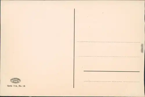 Ansichtskarte Schierke Partie am Sanatorium 1914 