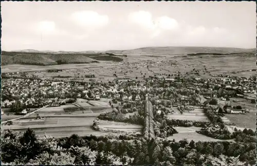 Ansichtskarte Bad Pyrmont Aussicht vom Spelunkenturm 1955