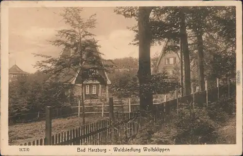 Ansichtskarte Bad Harzburg Waldsiedlung Wolfsklippen 1920