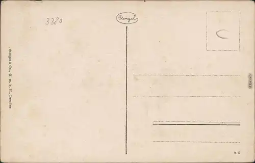 Ansichtskarte Bad Harzburg Waldsiedlung Wolfsklippen 1920