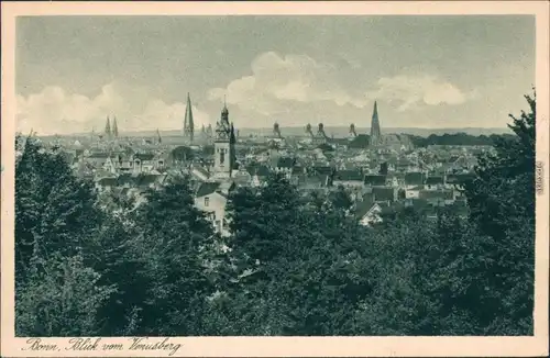 Ansichtskarte Bonn Stadtblick vom Venusberg 1920