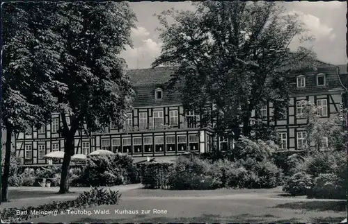 Ansichtskarte Horn-Bad Meinberg Kurhaus zur Rose 1961 