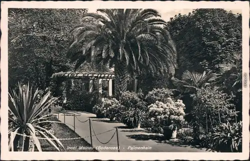 Ansichtskarte Konstanz Partie am Palmenhain 1941 