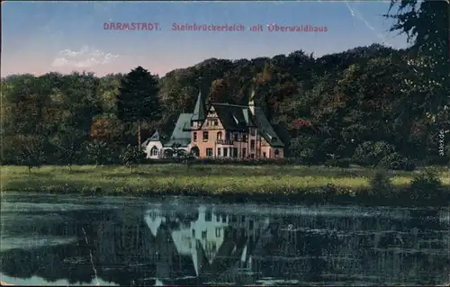 Ansichtskarte Darmstadt Steinbrückerteich mit Oberwaldhaus 1919 