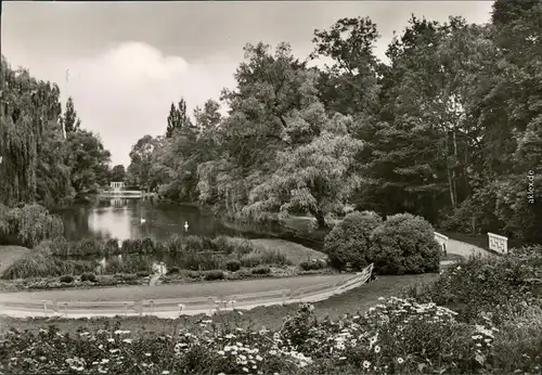 Ansichtskarte Köthen Am - Hubertusteich 1971